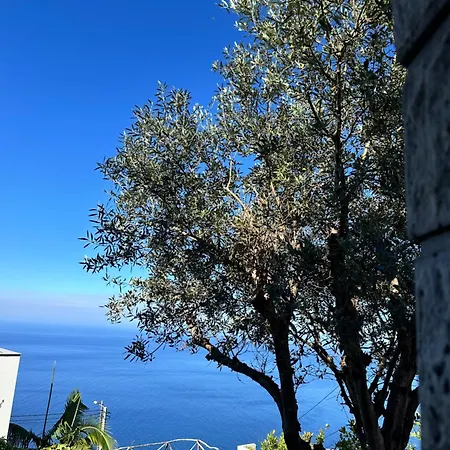 Cozy Sea View House Faja Da Ovelha