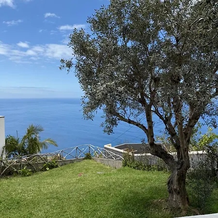 Cozy Sea View House Faja Da Ovelha Semesterbostad Calheta (Madeira)