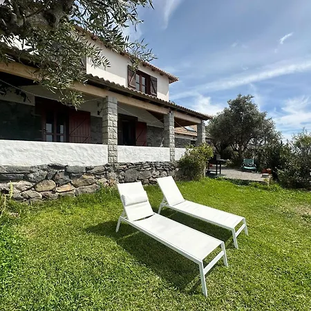 Дом отдыха Cozy Sea View House Faja Da Ovelha Кальета