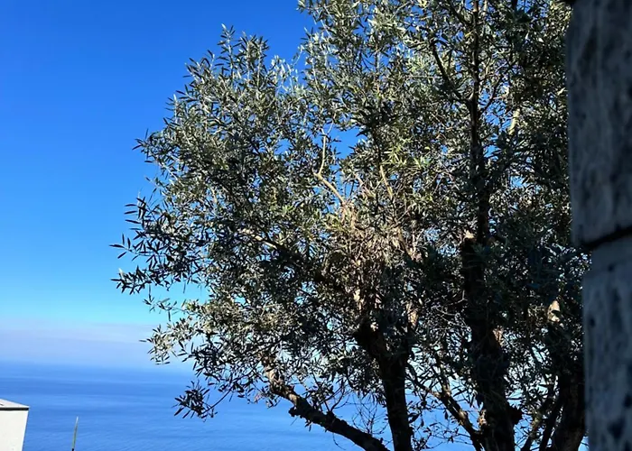 Cozy Sea View House Faja Da Ovelha